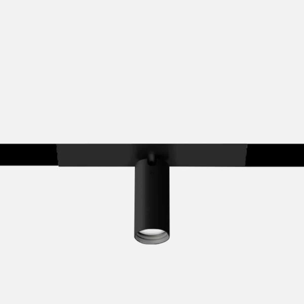 File2 system - Focus 55S