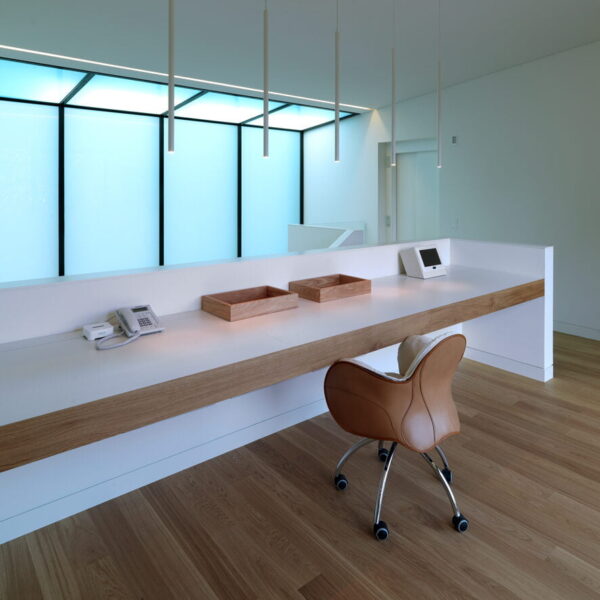 Ipipedi R30S/700H suspension